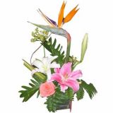 еʻٵ