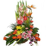еʻٵ