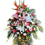 еʻٵ