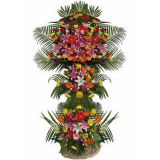 еʻٵ